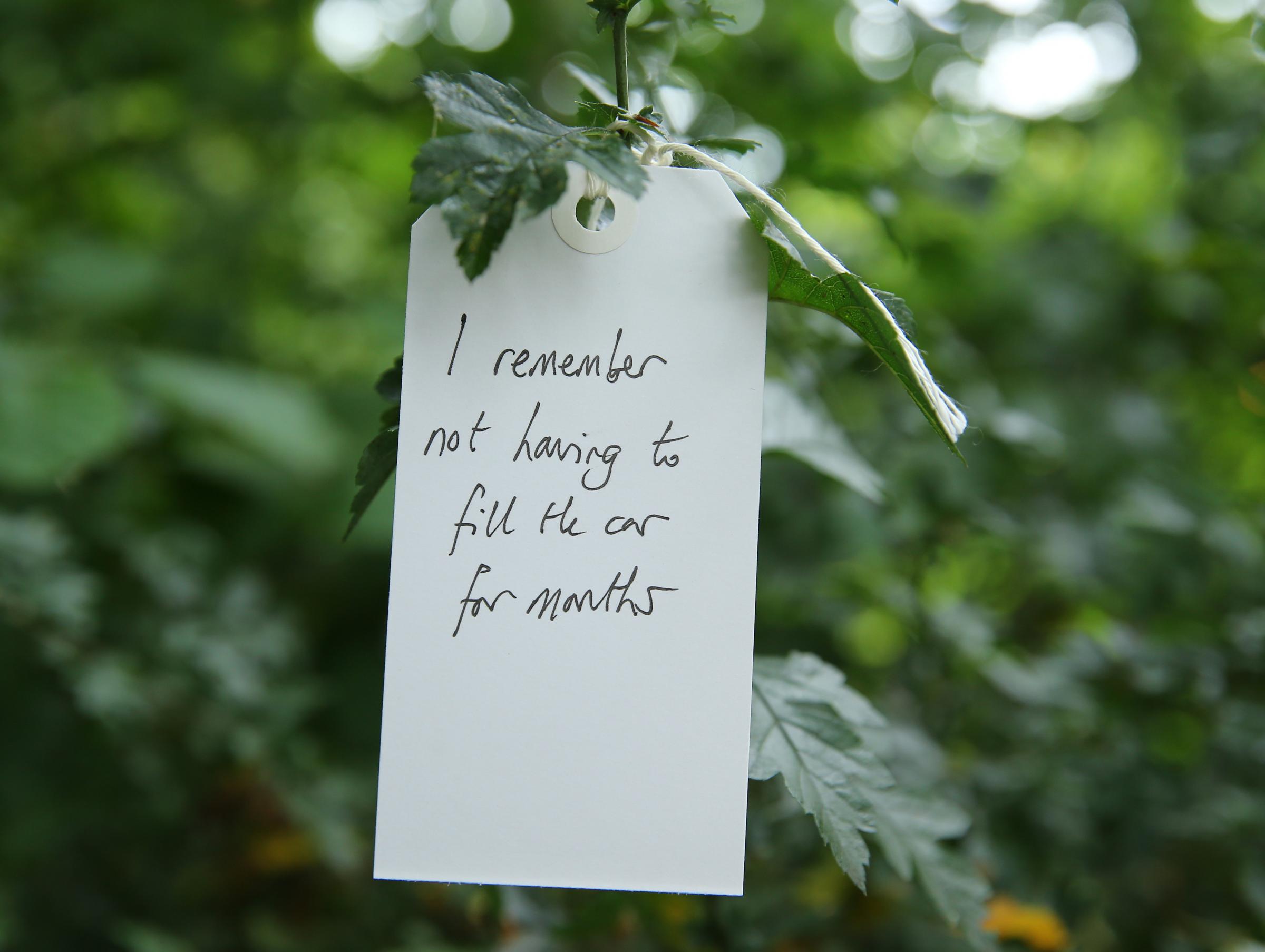 Herald covid memorial campaign, I Remember open day at the Hidden Gardens, Glasgow. Pictured are I Remember sentences tied to trees. Photograph by Colin Mearns.