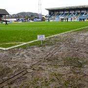 The pitch at Dens Park