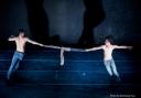 Flight by Melancholy Dance Company Photo: Park Sang Run