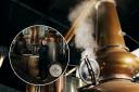 'Not your traditional distillery': The team who brought single malt back to Glasgow