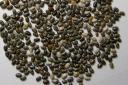 Chia seeds are one of the richest plant-based sources of omega-3 fats - essential for a healthy diet