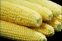 Kitching Cabinet: everything you need to know about corn on the cob