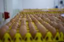 A simple Google Translate mistake at a South Korean grocery store resulted in 15,000 eggs being delivered to their kitche
