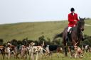 ST BOSWELLS, SCOTLAND - NOVEMBER 08:  Whipper In, Johnny Richardson with some of The Duke of Buccleugh's Fox hounds which he looks after on November 09, 2011 in St Boswells, Scotland.  (Photo by Ian MacNicol/Getty Images).
