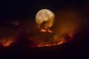 he full moon rises behind burning moorland as a large wildfire sweeps across the moors between Dovestones and Buckton Vale in Stalybridge, Greater Manchester on June 26, 2018 in Stalybridge, England.  (Photo by Anthony Devlin/Getty Images).