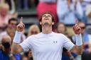 LONDON, ENGLAND - JUNE 21:  Andy Murray of Great Britain celebrates victory in his men's singles final match against Kevin Anderson of South Africa during day seven of the Aegon Championships at Queen's Club on June 21, 2015 in London, England.