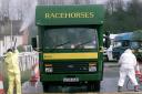 Flashback: Race horse trucks are disinfected as they enter Lingfield Park racecourse back in 
March 2001