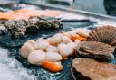 New Scottish seafood festival to showcase the 'outstanding larder of the North Sea'