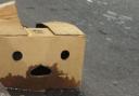 Jonathan McConnell concludes that this poor cardboard box has been enjoying the New Year revelries far too much, and is now regretting its behaviour…