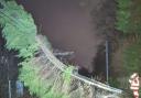 Network Rail Scotland posted a picture of tree on the line at Gartcosh, North Lanarkshire