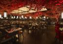 Tattu will light up in an extravagant style celebrating the Year of the Dragon