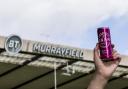 Alcohol brands have long supported many areas of Scottish sport, and it is argued that banning them could have 'profound implications'.