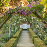 The Rose Garden in June at Mottisfont, Hampshire..
