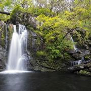 Inversnaid Waterfall, Loch Lomond. Picture: Getty