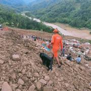 This photograph provided by India's National Disaster Response Force (NDRF) shows NDRF personnel and others trying to rescue those buried under the debris after a mudslide in Noney, northeastern Manipur state, India, Thursday, June 30, 2022.