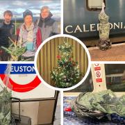 A Christmas tree which travelled from Stirlingshire to London on public transport