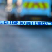 Pedestrian and dog die after being struck by car in Ayrshire