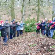 The Kinclaven Woodland Working Group have put in four years of work to clear the well-known woods of an invasive plant.