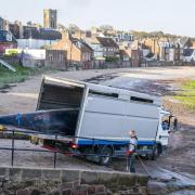 The whale was moved from North Berwick beach