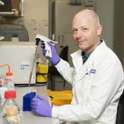 Dr Seth Coffelt said bowel cancer cells have developed ways to hide from the immune system, but they are hopeful that this mechanism can be reversed