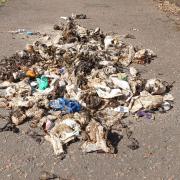 Sewage debris gathered at Milsey Bay,  North Berwick, by Richard Yates
