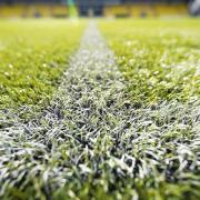 Livingston's plastic pitch close up