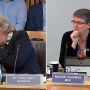 Lady Dorrian reacts to a question from Green MSP Maggie Chapman