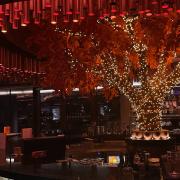 SUSHISAMBA restaurant review: Do good things really come in threes?