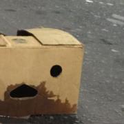 Jonathan McConnell concludes that this poor cardboard box has been enjoying the New Year revelries far too much, and is now regretting its behaviour…