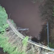 Network Rail Scotland posted a picture of tree on the line at Gartcosh, North Lanarkshire