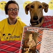 Dogs Trust West Calder rescue dog Lionel has had a Robert Burns style poem written for him
