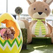 Bernie the Easter Bunny at Silverburn shopping centre in Glasgow