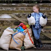 Beth Strange (7) from Mossneuk Primary brings two crocheted sheep to the National Museum of Rural Life ahead of the East Kilbride attraction’s Woolly Weekend event