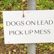 Gordon Phillips from Ayr notes that they must have some clever dogs at Bargany Gardens in Girvan…