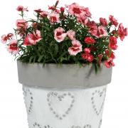 Rustic Heart Planter, 12.99, available from Homebase.