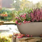 The Cubeto bowl planter, available from lechuza.co.uk.