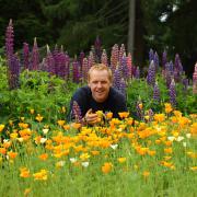 Brian Cunningham, head gardener at Scone Palace. Picture: Colin Mearns