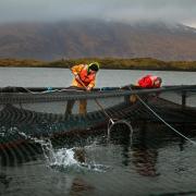 A Scottish salmon farm