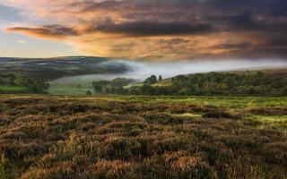 Dawn mist over the North York Moors national park shot in autumn (fall) when the heather is in full bloom near the village of Goathland, north Yorkshire, UK..