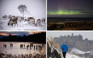 Cairngorm Reindeer Herd, chasing the Northern Lights, Arthur's Seat and Lake of Menteith. Pictures: Jeff J Mitchell/Stewart Attwood/ Peter Summers/Getty Images
