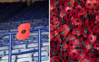 The poppy has been a symbol of remembrance since 1921.