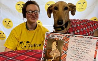 Dogs Trust West Calder rescue dog Lionel has had a Robert Burns style poem written for him