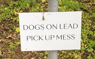 Gordon Phillips from Ayr notes that they must have some clever dogs at Bargany Gardens in Girvan…