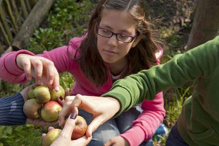 ... Gardening: The roots of successful apple-growing (From Herald Scotland