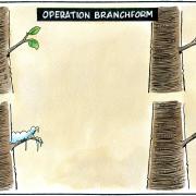 Our cartoonist Steven Camley's take on Operation Branchform