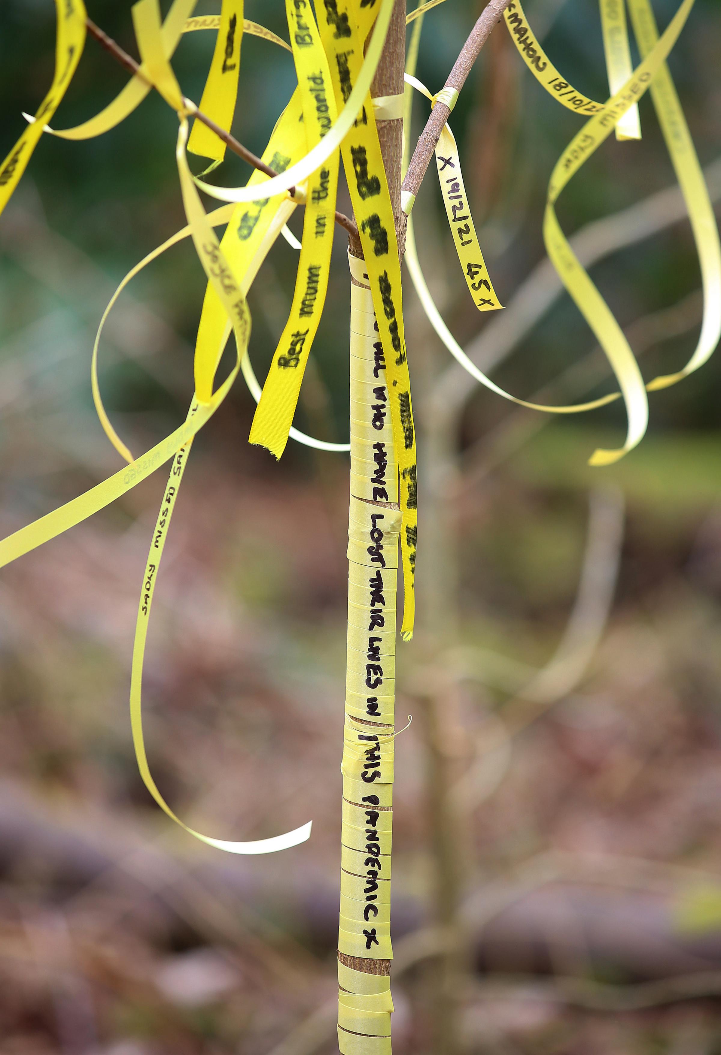 Yellow ribbons with the names of people who have died place in Pollok Country Park are just one of the marks of respect. Photo Gordon Terris.