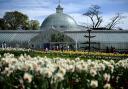 Glasgow City Council has paused its plan to introduce an entry fee at the Kibble Palace