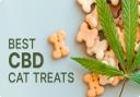If you’re looking for high-quality, veterinarian-formulated CBD products specially designed for your pets' comfort and care, look no further