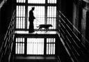 A prison guard and dog inside Barlinnie