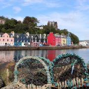 Tobermory has seen an increase in population